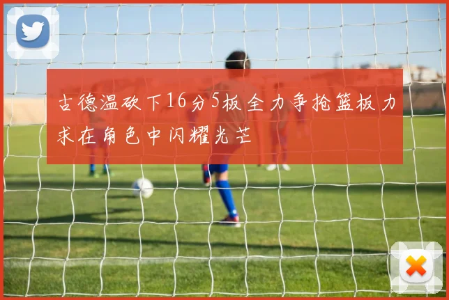 古德温砍下16分5板全力争抢篮板力求在角色中闪耀光芒
